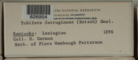 Image Associated With the Occurence